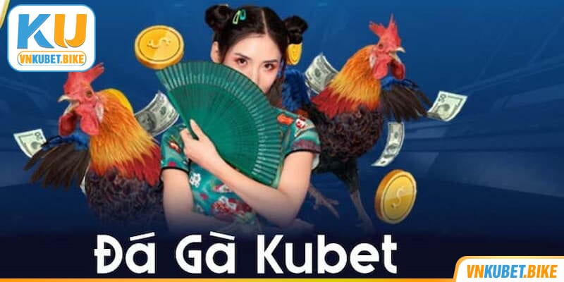 Đá Gà Kubet - Trực Tiếp Những Trận Kê Chiến Kinh Điển