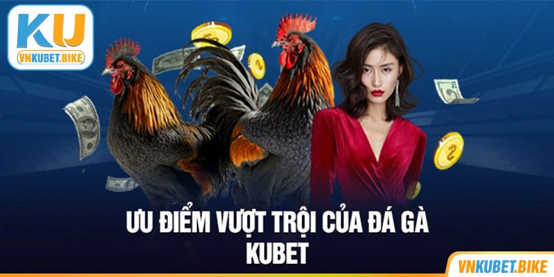 Đa gà Kubet đỉnh cao với nhiều thể loại hấp dẫn