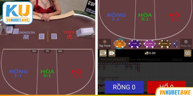 Luật đặt cược Rồng Hổ tại nhà cái Kubet