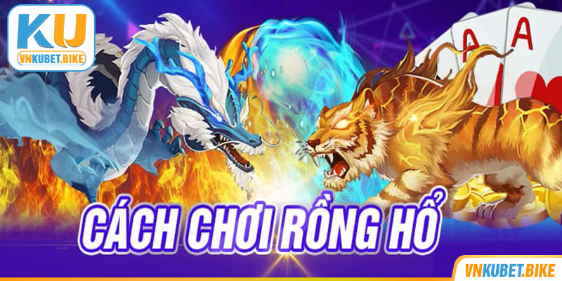 Cách chơi Rồng Hổ Kubet